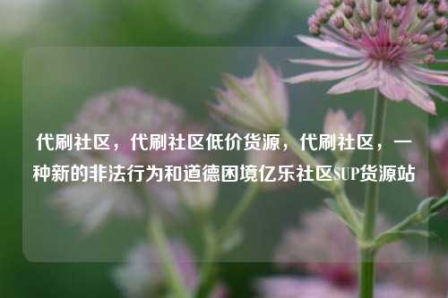 代刷社区，代刷社区低价货源	，代刷社区，一种新的非法行为和道德困境亿乐社区SUP货源站  第1张