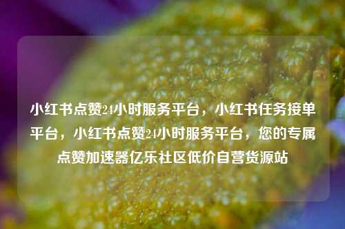 小红书点赞24小时服务平台，小红书任务接单平台，小红书点赞24小时服务平台	，您的专属点赞加速器亿乐社区低价自营货源站  第1张