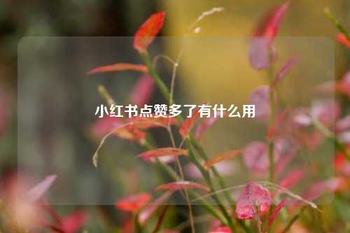 小红书点赞多了有什么用  第1张