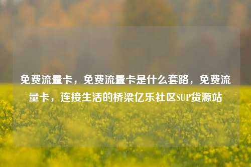 免费流量卡，免费流量卡是什么套路	，免费流量卡，连接生活的桥梁亿乐社区SUP货源站  第1张