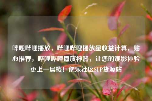 哔哩哔哩播放，哔哩哔哩播放量收益计算，贴心推荐	，哔哩哔哩播放神器，让您的观影体验更上一层楼！亿乐社区SUP货源站  第1张