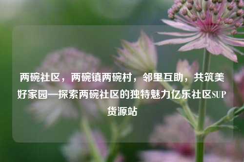 两碗社区，两碗镇两碗村，邻里互助	，共筑美好家园—探索两碗社区的独特魅力亿乐社区SUP货源站  第1张