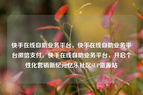 快手在线自助业务平台，快手在线自助业务平台微信支付	，快手在线自助业务平台，开启个性化营销新纪元亿乐社区SUP货源站  第1张