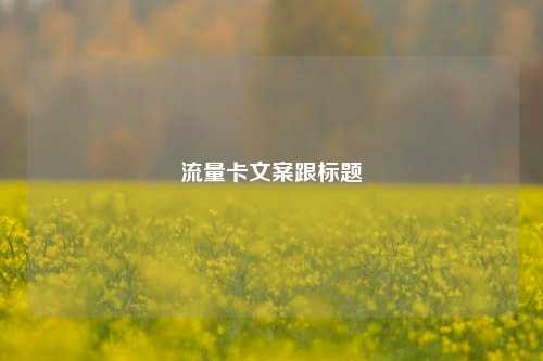 流量卡文案跟标题  第1张