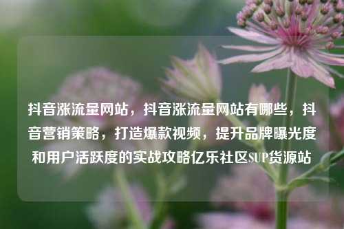 抖音涨流量网站	，抖音涨流量网站有哪些，抖音营销策略，打造爆款视频	，提升品牌曝光度和用户活跃度的实战攻略亿乐社区SUP货源站  第1张