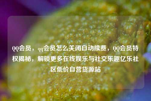 QQ会员	，qq会员怎么关闭自动续费，QQ会员特权揭秘，解锁更多在线娱乐与社交乐趣亿乐社区低价自营货源站  第1张