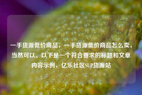 一手货源低价商品	，一手货源低价商品怎么卖，当然可以。以下是一个符合要求的标题和文章内容示例，亿乐社区SUP货源站  第1张