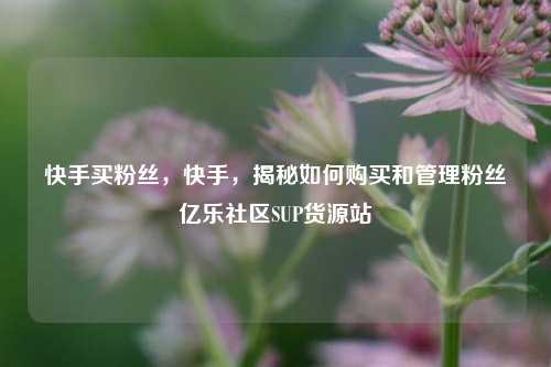 快手买粉丝	，快手，揭秘如何购买和管理粉丝亿乐社区SUP货源站  第1张