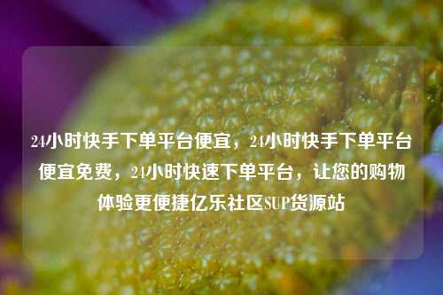 24小时快手下单平台便宜，24小时快手下单平台便宜免费	，24小时快速下单平台，让您的购物体验更便捷亿乐社区SUP货源站  第1张