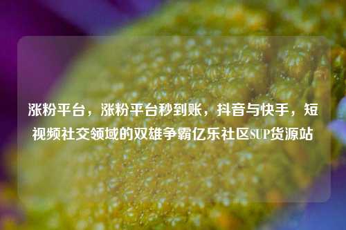 涨粉平台，涨粉平台秒到账，抖音与快手	，短视频社交领域的双雄争霸亿乐社区SUP货源站  第1张