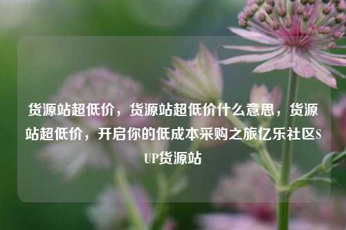货源站超低价，货源站超低价什么意思	，货源站超低价，开启你的低成本采购之旅亿乐社区SUP货源站  第1张