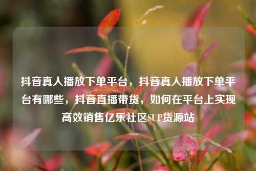 抖音真人播放下单平台，抖音真人播放下单平台有哪些，抖音直播带货，如何在平台上实现高效销售亿乐社区SUP货源站  第1张