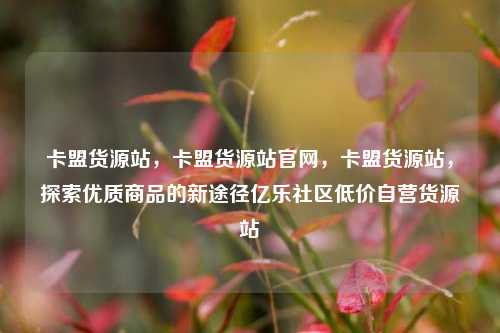 卡盟货源站，卡盟货源站官网，卡盟货源站，探索优质商品的新途径亿乐社区低价自营货源站  第1张