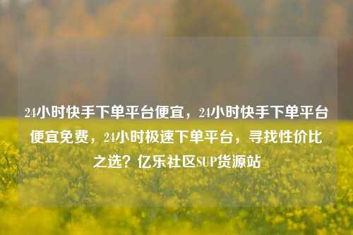 24小时快手下单平台便宜，24小时快手下单平台便宜免费，24小时极速下单平台，寻找性价比之选？亿乐社区SUP货源站  第1张