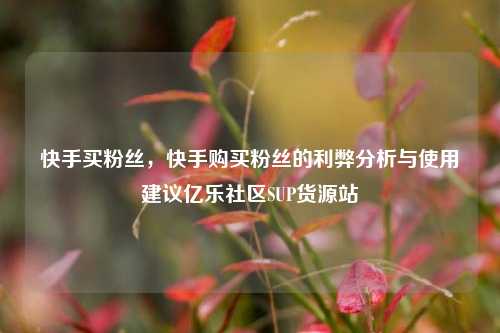 快手买粉丝，快手购买粉丝的利弊分析与使用建议亿乐社区SUP货源站  第1张
