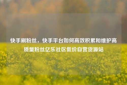 快手刷粉丝	，快手平台如何高效积累和维护高质量粉丝亿乐社区低价自营货源站  第1张