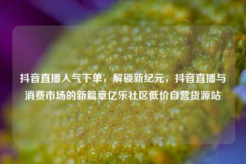 抖音直播人气下单，解锁新纪元	，抖音直播与消费市场的新篇章亿乐社区低价自营货源站  第1张