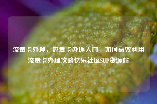流量卡办理，流量卡办理入口，如何高效利用流量卡办理攻略亿乐社区SUP货源站  第1张
