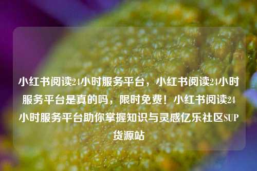 小红书阅读24小时服务平台	，小红书阅读24小时服务平台是真的吗，限时免费！小红书阅读24小时服务平台助你掌握知识与灵感亿乐社区SUP货源站  第1张