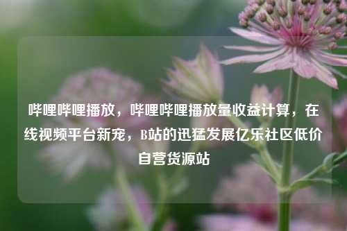 哔哩哔哩播放，哔哩哔哩播放量收益计算，在线视频平台新宠，B站的迅猛发展亿乐社区低价自营货源站  第1张