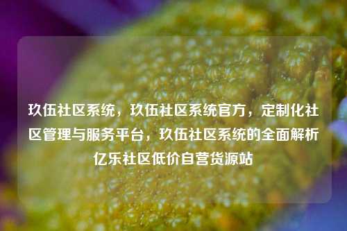 玖伍社区系统，玖伍社区系统官方，定制化社区管理与服务平台，玖伍社区系统的全面解析亿乐社区低价自营货源站  第1张