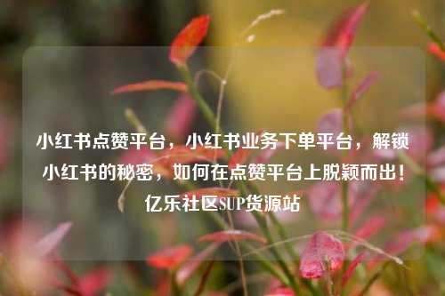 小红书点赞平台，小红书业务下单平台	，解锁小红书的秘密，如何在点赞平台上脱颖而出！亿乐社区SUP货源站  第1张