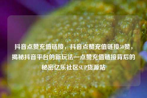 抖音点赞充值链接，抖音点赞充值链接50赞	，揭秘抖音平台的新玩法—点赞充值链接背后的秘密亿乐社区SUP货源站  第1张