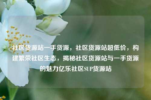 社区货源站一手货源，社区货源站超低价，构建繁荣社区生态	，揭秘社区货源站与一手货源的魅力亿乐社区SUP货源站  第1张