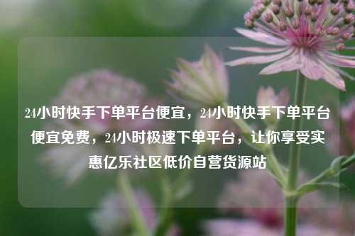 24小时快手下单平台便宜，24小时快手下单平台便宜免费	，24小时极速下单平台，让你享受实惠亿乐社区低价自营货源站  第1张