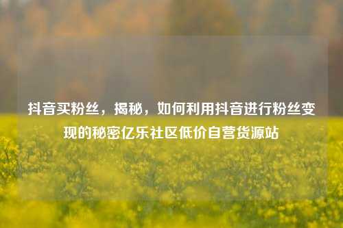 抖音买粉丝，揭秘，如何利用抖音进行粉丝变现的秘密亿乐社区低价自营货源站  第1张