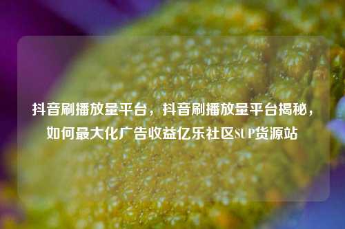 抖音刷播放量平台，抖音刷播放量平台揭秘	，如何最大化广告收益亿乐社区SUP货源站  第1张