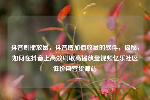 抖音刷播放量	，抖音增加播放量的软件，揭秘，如何在抖音上高效刷取高播放量视频亿乐社区低价自营货源站  第1张