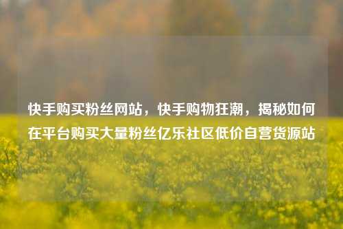 快手购买粉丝网站，快手购物狂潮	，揭秘如何在平台购买大量粉丝亿乐社区低价自营货源站  第1张