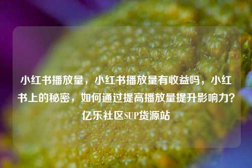 小红书播放量	，小红书播放量有收益吗，小红书上的秘密，如何通过提高播放量提升影响力？亿乐社区SUP货源站  第1张