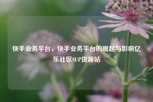 快手业务平台	，快手业务平台的崛起与影响亿乐社区SUP货源站  第1张