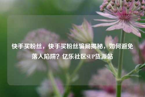 快手买粉丝，快手买粉丝骗局揭秘，如何避免落入陷阱？亿乐社区SUP货源站  第1张