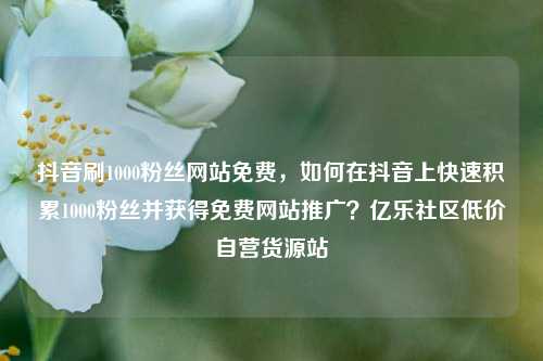 抖音刷1000粉丝网站免费	，如何在抖音上快速积累1000粉丝并获得免费网站推广？亿乐社区低价自营货源站  第1张