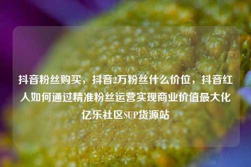 抖音粉丝购买，抖音2万粉丝什么价位，抖音红人如何通过精准粉丝运营实现商业价值最大化亿乐社区SUP货源站  第1张