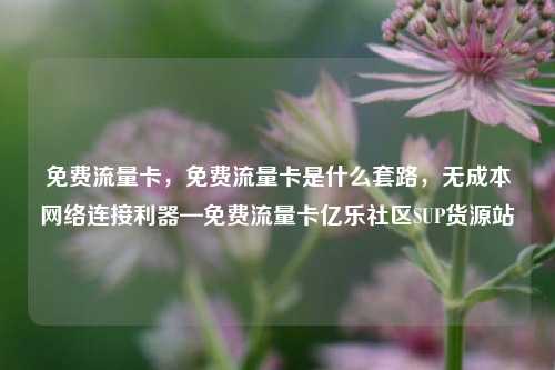免费流量卡	，免费流量卡是什么套路，无成本网络连接利器—免费流量卡亿乐社区SUP货源站  第1张
