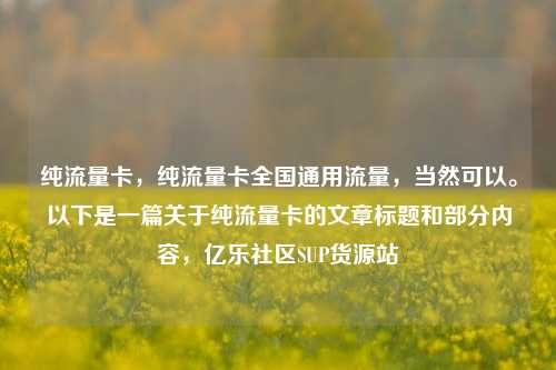 纯流量卡，纯流量卡全国通用流量	，当然可以	。以下是一篇关于纯流量卡的文章标题和部分内容，亿乐社区SUP货源站  第1张
