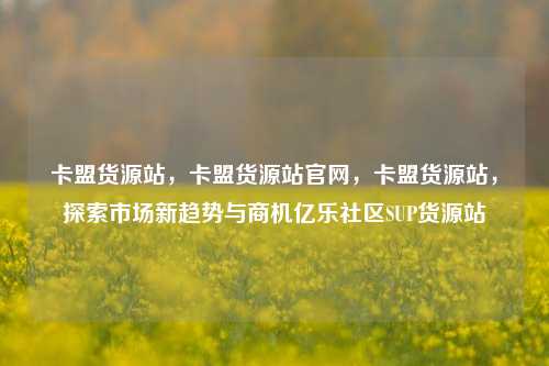 卡盟货源站，卡盟货源站官网，卡盟货源站，探索市场新趋势与商机亿乐社区SUP货源站  第1张