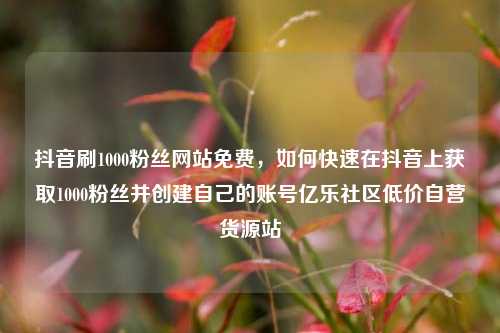 抖音刷1000粉丝网站免费	，如何快速在抖音上获取1000粉丝并创建自己的账号亿乐社区低价自营货源站  第1张