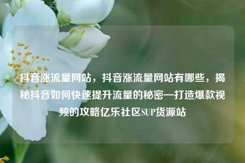 抖音涨流量网站	，抖音涨流量网站有哪些，揭秘抖音如何快速提升流量的秘密—打造爆款视频的攻略亿乐社区SUP货源站  第1张