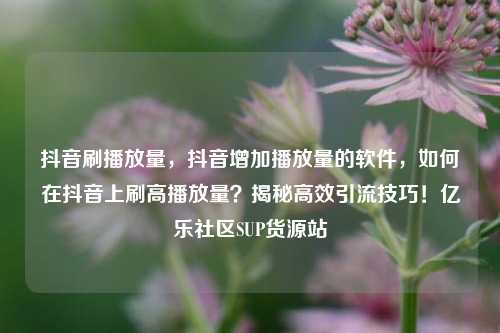 抖音刷播放量	，抖音增加播放量的软件，如何在抖音上刷高播放量？揭秘高效引流技巧！亿乐社区SUP货源站  第1张